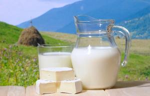 Халатное отношение к производству молочных продуктов  могло нанести серьезный вред здоровью человека otravleniye molozkoy 1.jpg